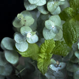 Mint and Eucalyptus **You can order a sample of this fragrance OR select your desired product and enter the fragrance name in the 'Custom Fragrance' section.