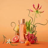 Last Chance Favorites!