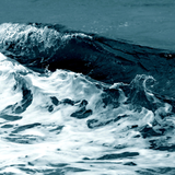 Acqua di Giò Type