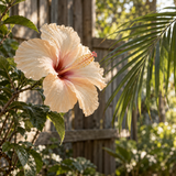 Hibiscus Palm **You can order a sample of this fragrance OR select your desired product and enter the fragrance name in the 'Custom Fragrance' section.