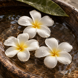 White Plumeria **You can order a sample of this fragrance OR select your desired product and enter the fragrance name in the 'Custom Fragrance' section.