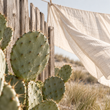 Bohemian Cactus **You can order a sample of this fragrance OR select your desired product and enter the fragrance name in the 'Custom Fragrance' section.