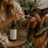 Doggy Tooth Powder- Propolis + Liver