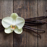 Cashmere Woods **You can order a sample of this fragrance OR select your desired product and enter the fragrance name in the 'Custom Fragrance' section.